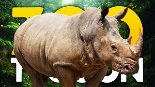 RHINOCEROS REVOLUCION | Zoo Tycoon (Part 3)
