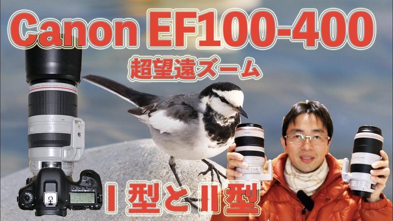 レンタル - Canon(キヤノン)EF100-400mm F4.5-5.6L IS USM レンタル - Canon(キヤノン)EF100-400mm F4.5-5.6L IS USM