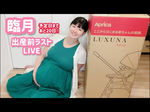 動画 臨月 2ページ目 可愛すぎる女の子の動画