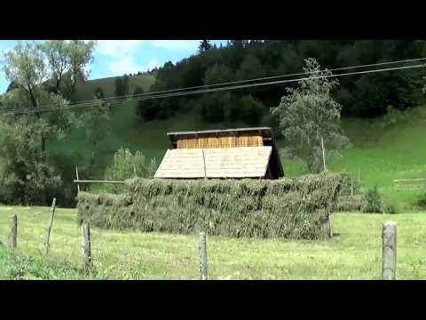 Pasul PRIHODIȘTE (Bucovina, România)