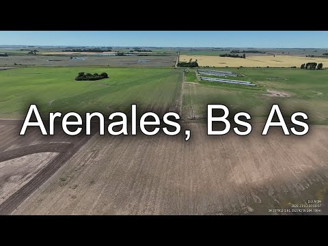 Relevamiento de malezas con dron 🚁 | Panorámica aérea de campos en Arenales, Buenos Aires.