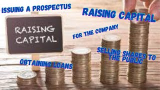 Raising Capital for Companies - Selling Shares to the Public