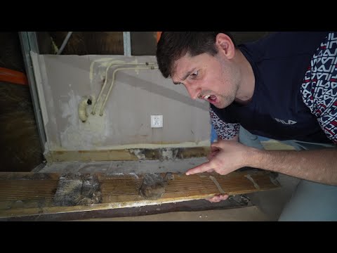 A Discovery Behind The Kitchen | Apartment Renovation