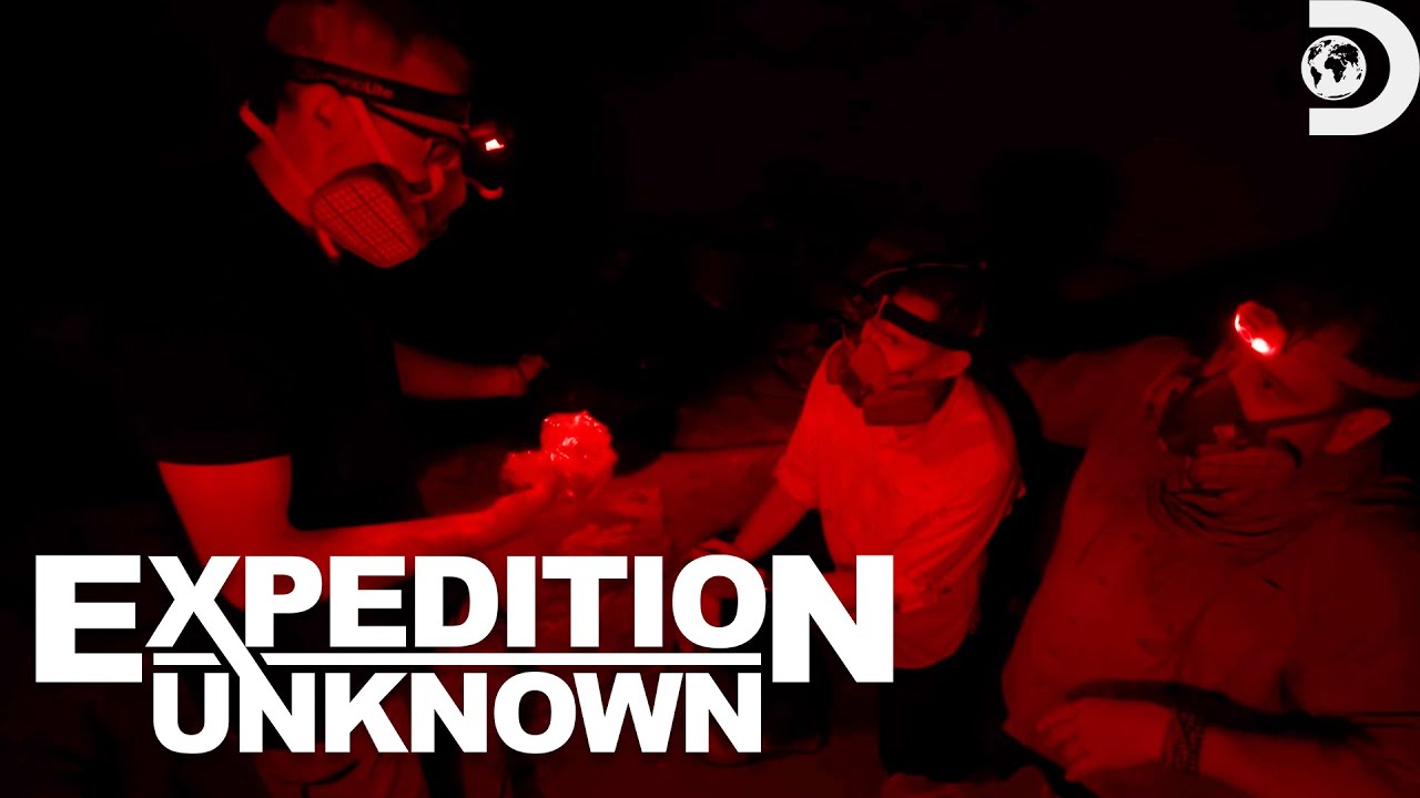 YouTube Thumbnail Downloader FULL HQ IMAGE