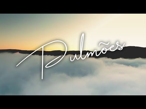 Pulmões // Iwan Mello & Di França // Cover Paulo Nazareth