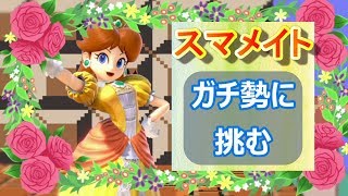【スマブラSP】ひたすらスマメイト