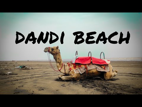 dandi beach 🏖️🏖️// દાંડી બીચ નવસારી//दंडी बीच
