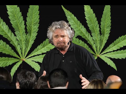 La Canapa, una pianta fuorilegge