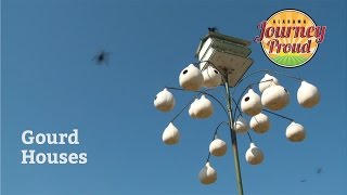 Journey Proud | Gourd Houses | Season 1 - Episode 1 | Alabama Public Television