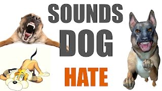 5 Sounds Dogs Hate All Time | HQ
