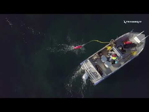 Michael Byø om Saltstraumen