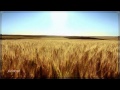 Eva Cassidy - Fields of gold (Sting cover) 
