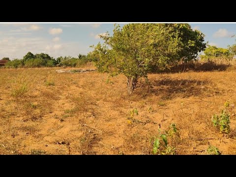 Imóvel a venda R$ 30.mil  Lagoa da melancia, Estrela de Alagoas. AL. 21/01/2026. (82.98217-5389)