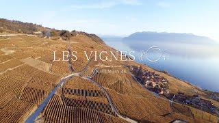 preview picture of video '[4K] Les Vignes d'Or - GoPro HERO4'