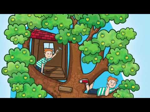 Arnold's apple tree through the season