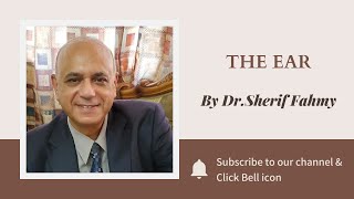 Dr. Sherif Fahmy - The Ear