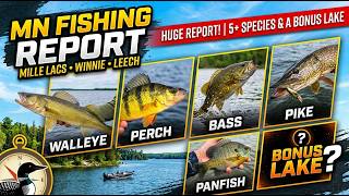 Minnesota Fishing Report - Mille Lacs Lake, Leech Lake and Lake Winnie 08-14-26