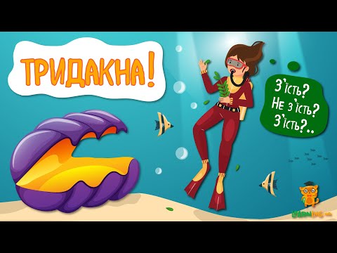 Дива природи. Явища навколо нас. Тридакна велетенська