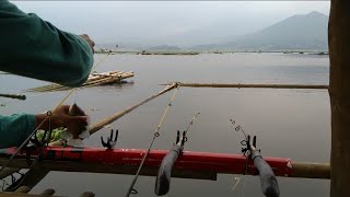 preview picture of video 'Sport mancing pagi hari serangan mulaii datang'