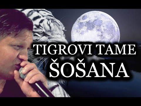 TIGROVI TAME - ŠOŠANA [UŽIVO]