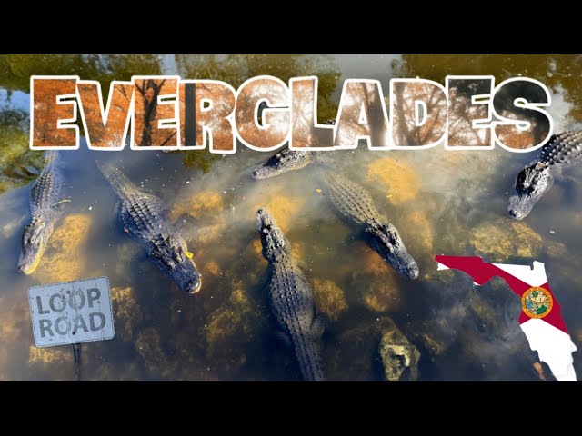 Judge.me YouTube video placeholder