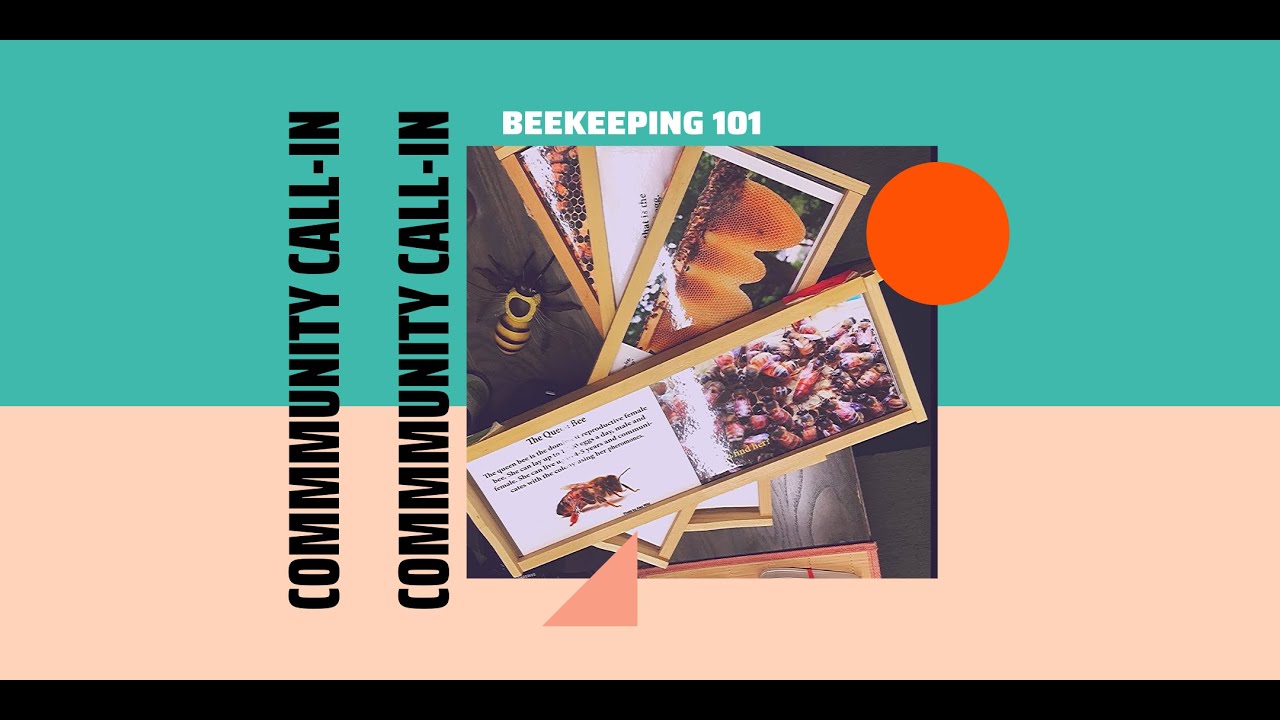 Community Call In Beekeeping 101 highlights