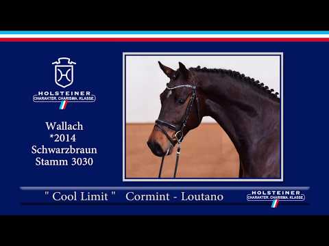 121 | Cool Limit v. Cormint - Loutano
