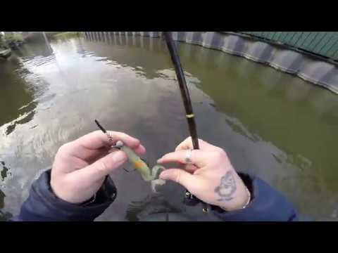 mooie snoek verspild