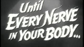 HERE COME THE FUZZ - Carnivore