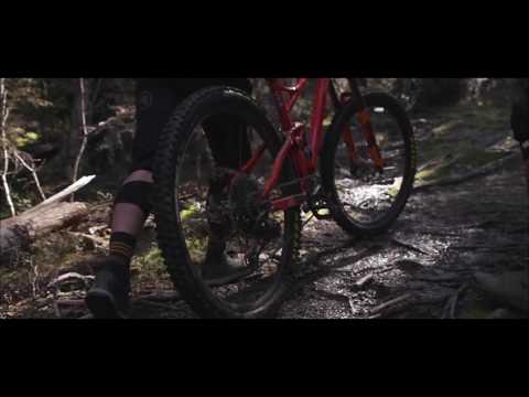 ✅ BANSHEE TITAN 2020 : Banhsee Bikes