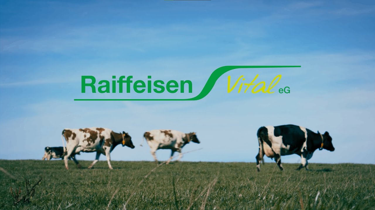 Video-Vorschaubild