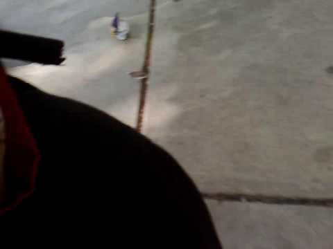 cosplay picnic 27/09/08 hyde park ''dog no jutsu''