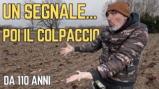 La terra dà sempre buoni frutti… | TESORI SEPOLTI