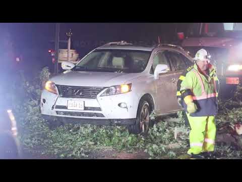 10-27-2021 Barnstable, MA - HUGE Tree Falls & Traps Woman In Car During Nor’easter - 50+ Mph Gusts