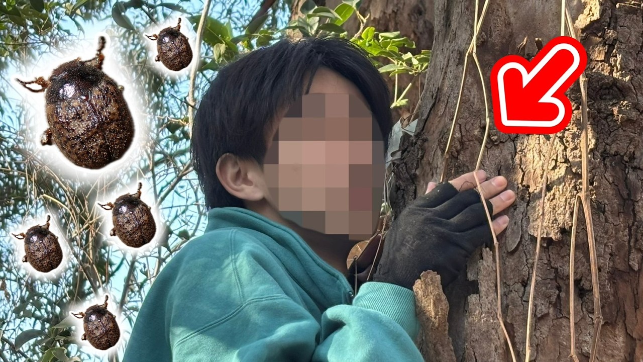 東京都内に生息するやばい外来種を捕まえに行ってきました...