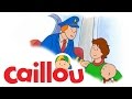 Caillou Caillou Flies A Plane S01E56 Cartoon For Kids