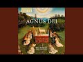 Missa Brevis in D, Op. 63: Agnus Dei