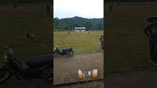 Download lagu antusias desa agung sebagai tuan rumah menyambut HUT RI ke 77 tahun 2022 menebus lapangan sepak bola mp3