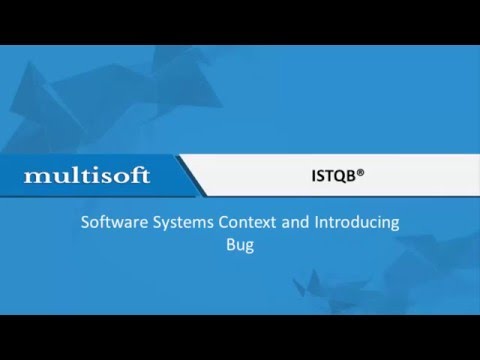 Software Systems Context and Introducing Bug 