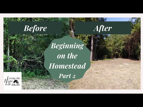 CLEARING LAND BY HAND PART 2. Starting on our homestead driveway. Building a homestead on a budget
