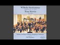Symphony No. 2 in G Minor, Op. 34: I. Allegro energico