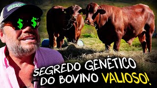 Miniatura do vídeo
