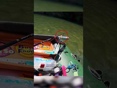 Mentre aspettava un pesce, si è imbattuto in un serpente! 👀