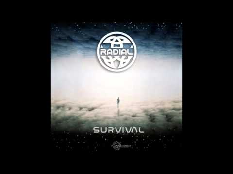 Radial vs Spinney Lainey - Undefeated