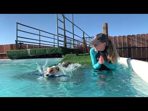 Groot Dock Diving Progress