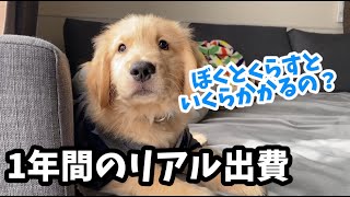 【１年間のリアル出費まとめました】【ゴールデンレトリーバー】