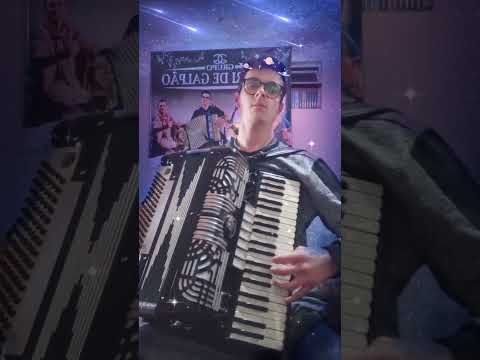 Santo Chão - Os Nativos