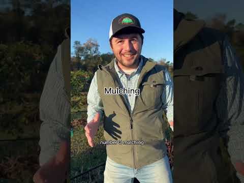 5 regenerative agriculture practices