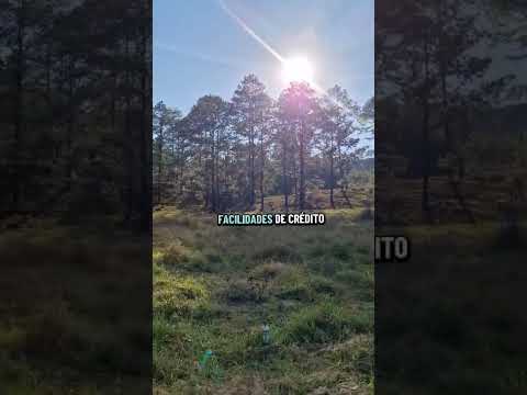 Venta de terrenos en residencial Villas del Pinar en Siguatepeque