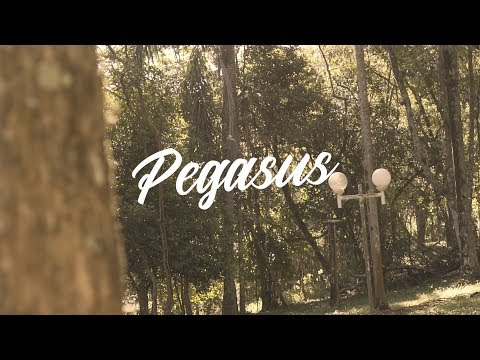 PD ft. Patricio Sid - Pegasus (Prod. Riott)